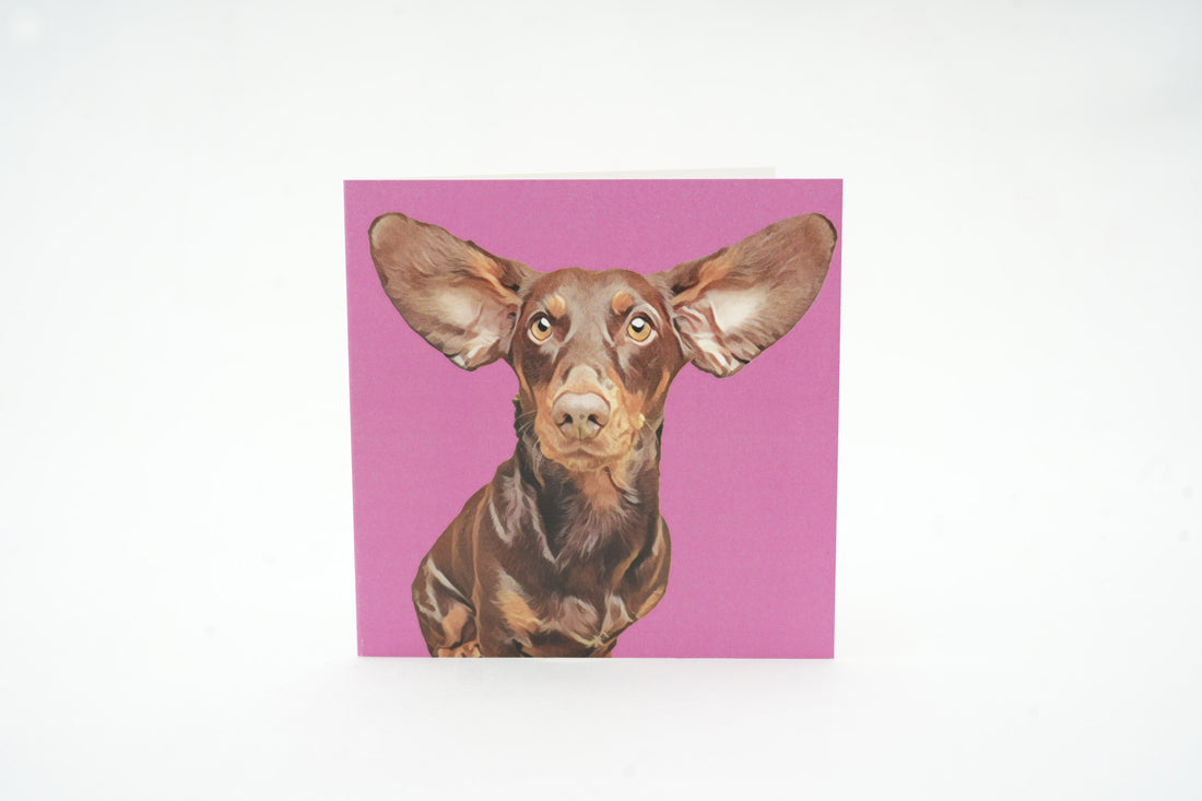 Ear Collection