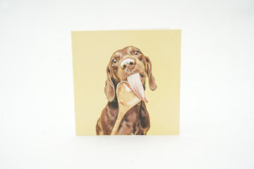 Lick Collection